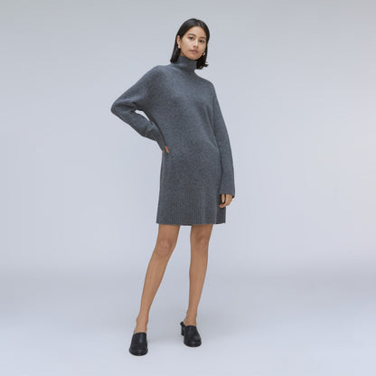 The Cozy Stretch Turtleneck Dress | Marin